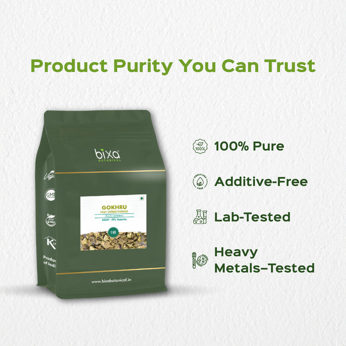Gokhru (Tribulus Terresteris) Dry Extract - 40% Saponins by Gravimetry