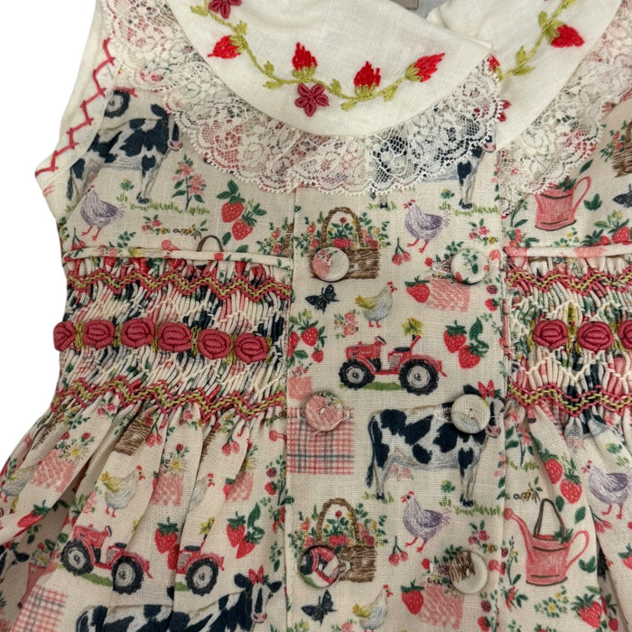 Close-up of embroidered collar and floral detailing on Renata Countryside Chic Dress