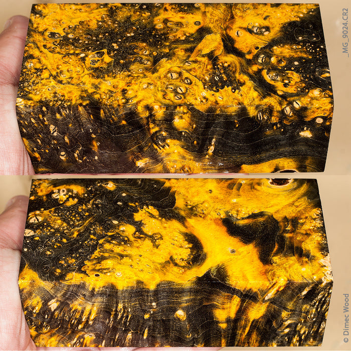 Stabilized wood box elder burl block