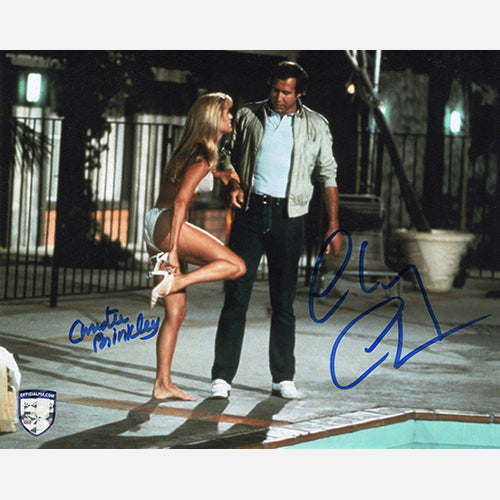 STOCK-CHRISTIE-BRINKLEY-CHEVY-CHASE-005-8X10