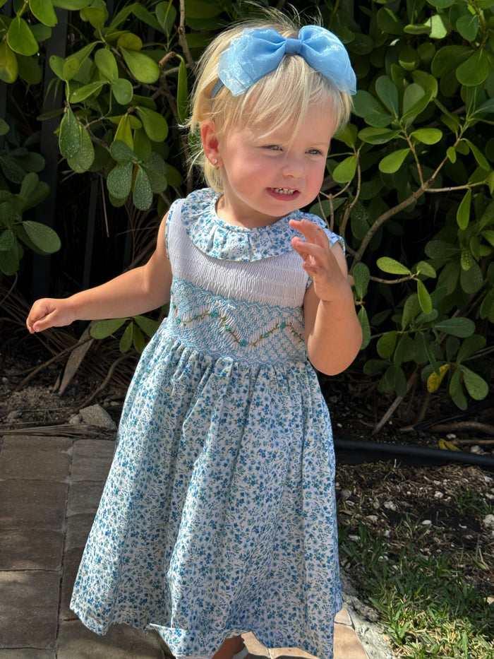 Andrezza Flowers Light Blue Sleeveless Handsmocked Girl Dress