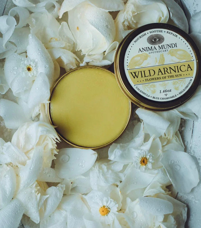 ARNICA BOTANICAL BALM | Flowers of the Sun