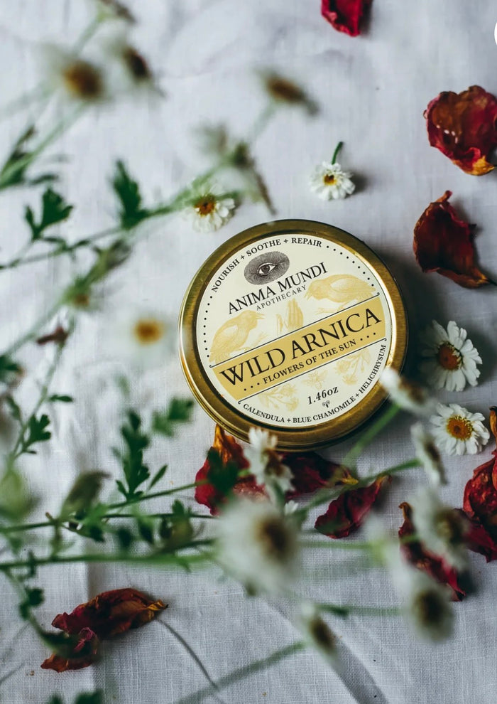 ARNICA BOTANICAL BALM | Flowers of the Sun
