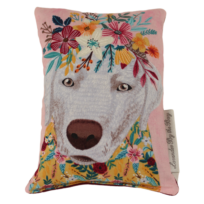 pink throw pillow dog on Pink on white background