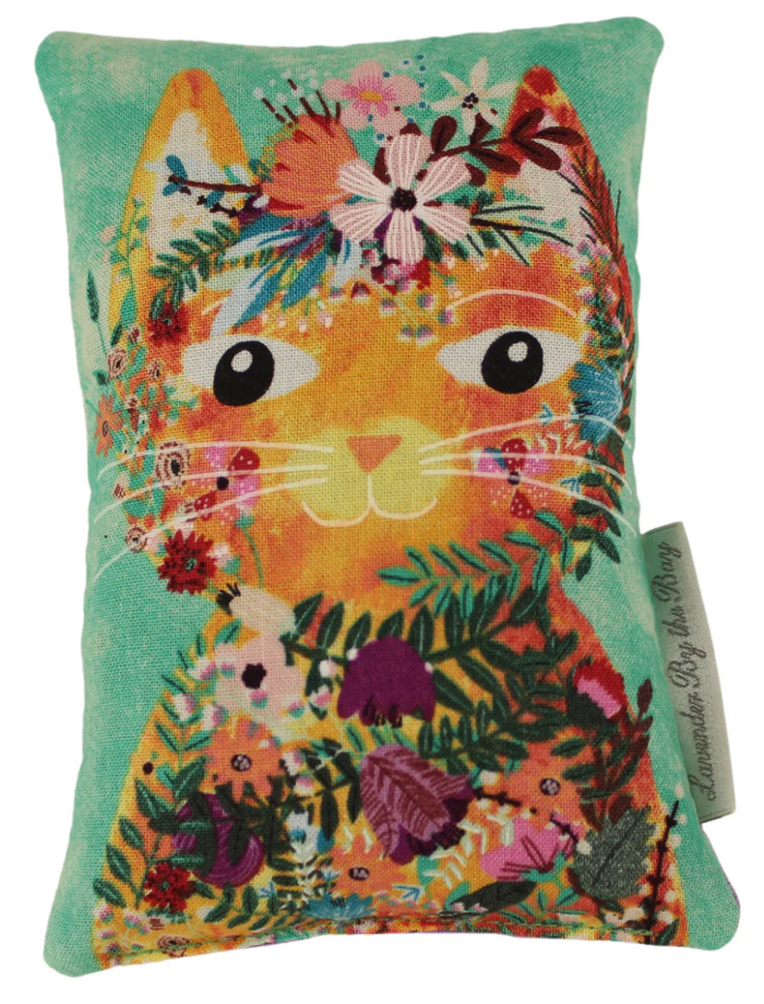 Cat on Green lavender scented pillow on white background