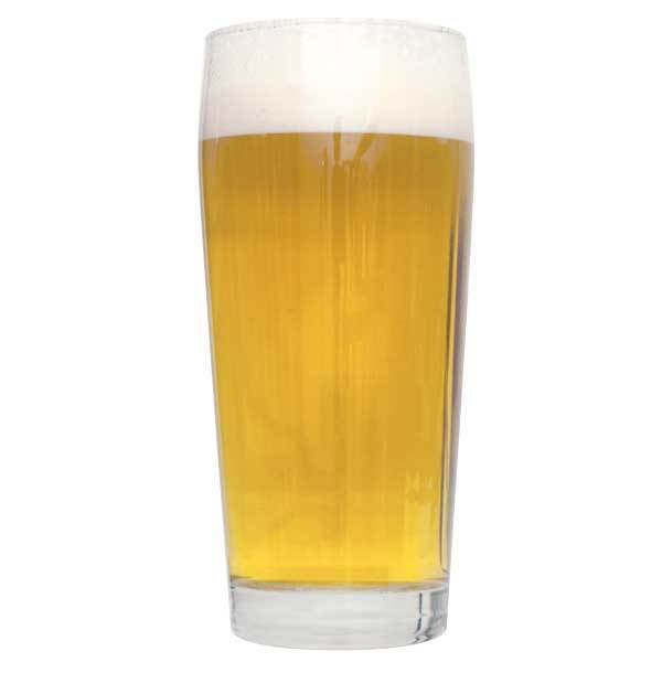 Kolsch homebrew in a glass