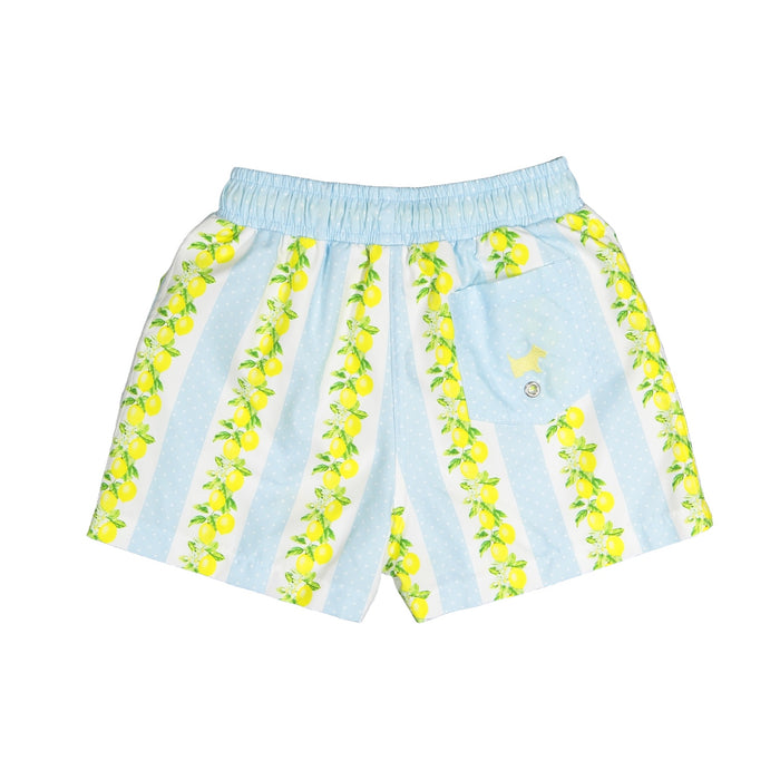 Lemon Tree Boy Trunks