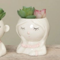 Porcelain Potted Succulent — Gerson, view 3