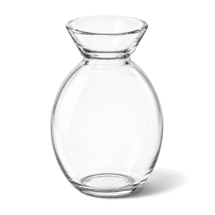 Clear glass Bud Vase on a white background