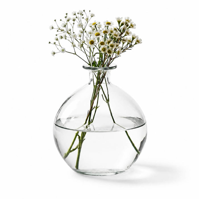 Jolie Vase with delicate white flowers on a white background