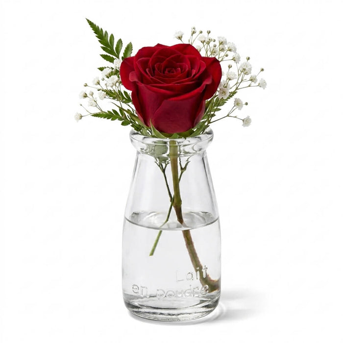 Rhea Bud Vase containing a single red rose surrounded by delicate baby's breath