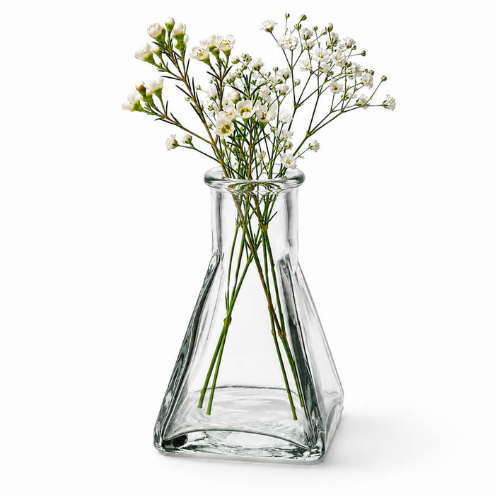 Tempe Bud Vase holding delicate white flowers