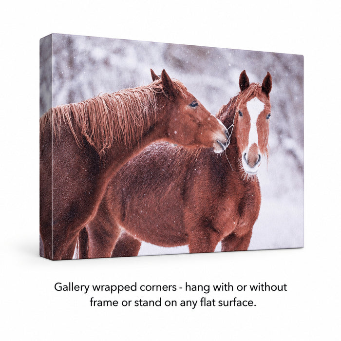 so in love horses canvas print