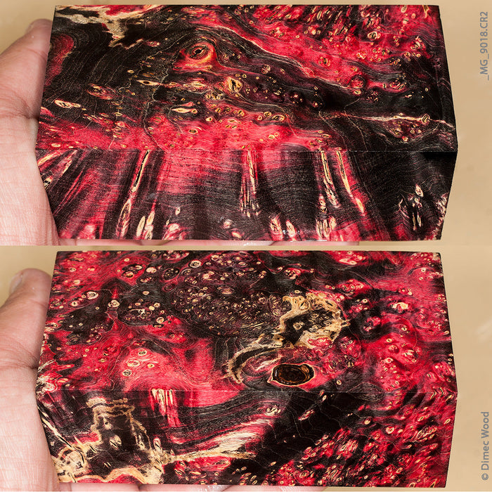 Stabilized wood box elder burl block