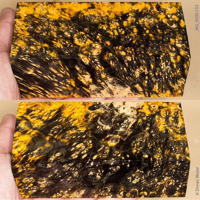 Stabilized wood box elder burl block