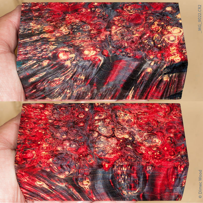 Stabilized wood box elder burl block