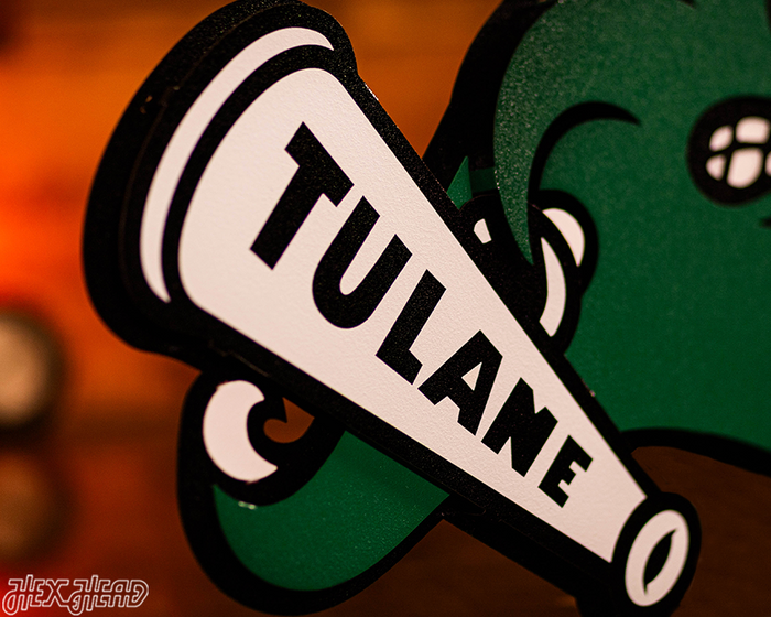 Tulane Green Wave 3D Artwork