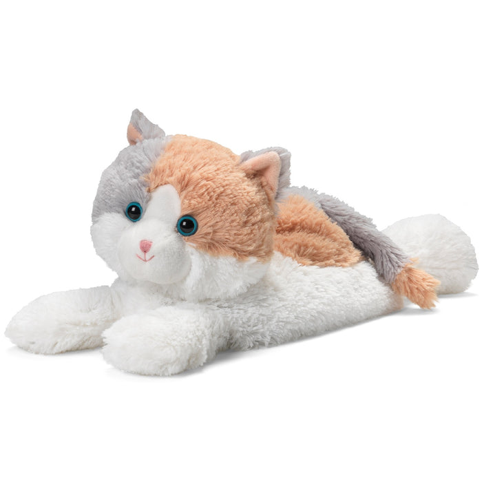 calico cat