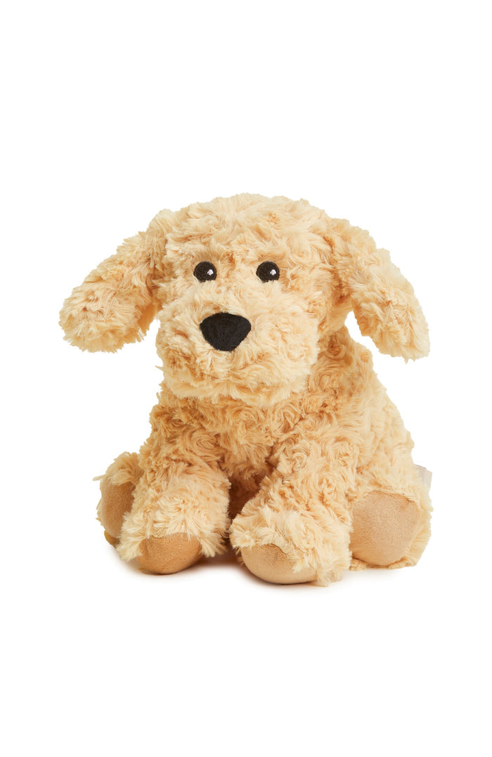golden dog