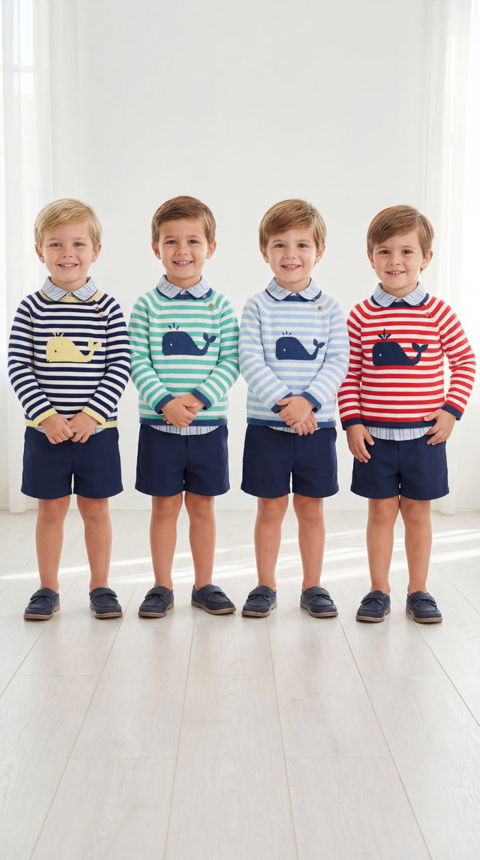 Whale Stripe Knitted Sweater (4 colors)